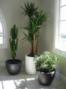Attractive Design Eco-Friendly Durable Black Powder Coated Galvanized Customized Indoor Outdoor Planters and Flower Pots - Product Image 2