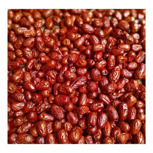 Natural Dried Dark Red Ziziphus Jujuba/ Dried Jujube From Northest Vietnam