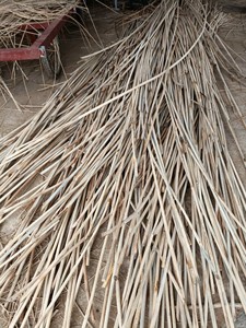 Hot <b>Sale</b> <b>Rattan</b> Core for <b>Furniture</b> Natural <b>Rattan</b> Cane Wholesale Supply Best Price 99GD - Product Image 6