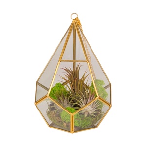 Terrario geométrico de Metal para jardín, soporte de mesa para plantas suculentas, jarrón de vidrio - Product Image 1