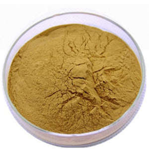 Horney Gat extracto de hierba de en polvo/polvo Epimedium saggitatum/planta de hierba fresca de alta calidad productos gran stock de fábrica - Product Image 2