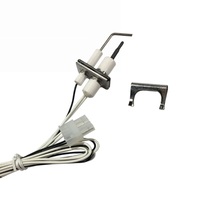 Allumeur 24 Volt avec capteur de flamme Allumeur en nitrure de silicium