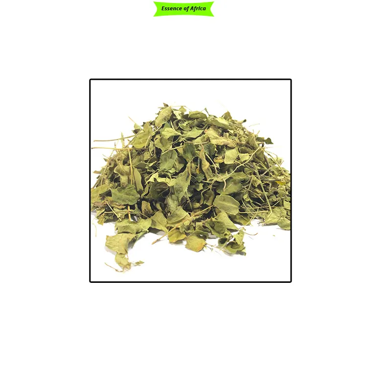 Beste Qualität Weit verbreitete Bio-getrocknete Moringa-Blätter zu einem niedrigen Marktpreis