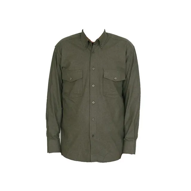 Modern Style Long Sleeve Classic Cut Men's Winter Casual Shirt Green Color