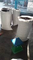 100% FRUITS secs de haute qualité, MORINDA CITRIFOLIA pour WHOLESALES-MS. AKINA chan