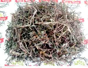 Bhringraj - Eclipta Alba-Bhringa Previene la caída del cabello debido a su reducción de la caspa Keshya Puede retrasar el encanecimiento - Product Image 4