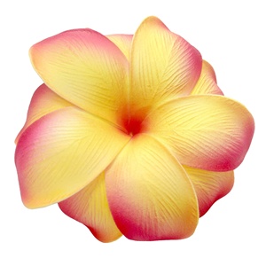 Sunne โฟม Plumeria Frangipani EVA ทำด้วยมือแฟชั่นเขตร้อน7สี4.2นิ้วคุณภาพสูง - Product Image 4