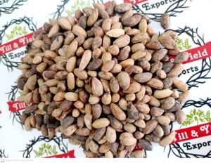 สมุนไพรต้นกำเนิดที่ดีที่สุดของอินเดีย Neemboli -Nimboli (Azadirachta Indica) สำหรับการหว่านและสุขภาพ - Product Image 5