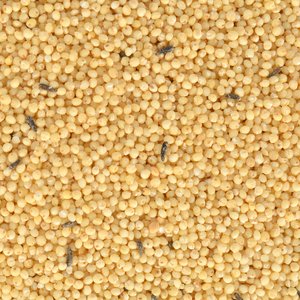 Nourriture pour petits oiseaux Quik Budgie 400g, nourriture pelable pour petits oiseaux - Product Image 2