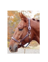 TAK Luxury Elegant Soft Leather Horse Headcollar Model HC2001 Durable Gear Customized Color Logo for Horse Riding Equestrian Use
