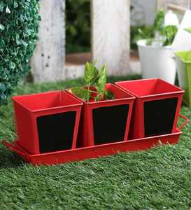 Vintage Galvanized Iron Metal Planter for Home Garden Decoration Elegant Metal Design for Outdoor Living Space - Product Image 5