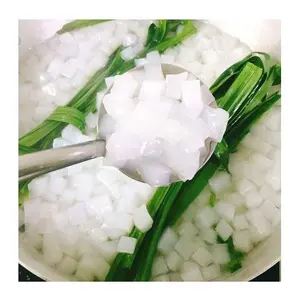 RAW NATA DE COCO//COCONUT JELLY// FOR EXPORTING // HIGH QUALITY // Ms. Esther (WhatsApp: +84 963590549)