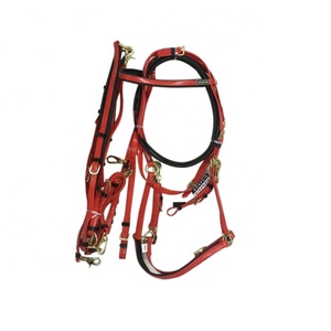 Bride de licou en PVC pour exportateurs avec plaque de poitrine assortie - Product Image 4