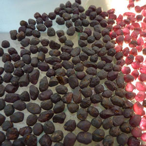 
 
 
 Coszcalt Exports QQR001 Pierre précieuse brute de grenat rose violet indien naturel non taillée pour la fabrication de bijoux et de qualité abrasive, troisième - Product Image 3