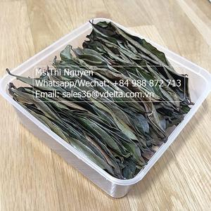 Hojas de Guanábana de Graviola secas orgánicas de alta calidad de Vietnam AD Proceso de secado/Sra. Lima - Product Image 6