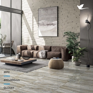 Azulejos de Porcelana de Alta Calidad, Gran Tamaño, Excelente Elección, Marca Arizona para Cocina, 600x600 mm - Product Image 6