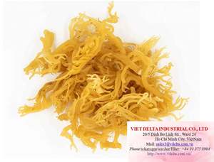 สาหร่ายมอสทะเล/มอสไอริช - ปลูกแบบธรรมชาติจากเวียดนาม/ คิโอ ฮยอนห์ - Product Image 3