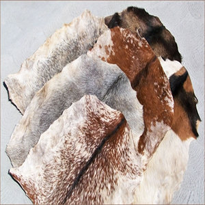 กลองชาแมนทำจากหนังวัว กลองชาแมนทำมือ ขนาด 16 นิ้ว ทรงกลม พร้อมโครงหนังแพะ ขาย ผลิตในประเทศปากีสถาน - Product Image 6