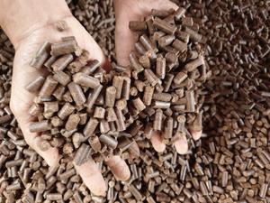 GRANULES DE COQUE DE NOIX DE CAJOU pour L'EXTRACTION DE TANIN MAX 10% HUMIDITÉ 3MM DE TAILLE DU VIETNAM - Product Image 3