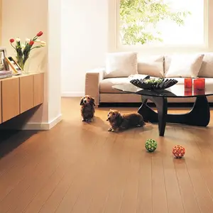 Animal Lovers cannot miss that Selection of interior materials for pets