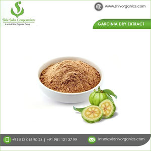 Fournisseur d'extrait de Garcinia disponible en grande quantité poudre d'extrait de Garcinia HCA pour la perte de poids - Product Image 2