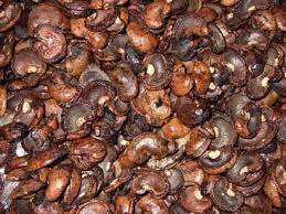 Résidus de coques de noix de cajou en gros - Product Image 2