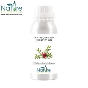 Aceite de lentejas orgánico | Aceite Esencial de masilla | Aceite de hoja de Pistacia lentiscus-100% puro y Natural-precio al por mayor