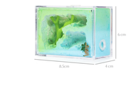 Cage à fourmis de haute qualité Empire of Ants, design magnifique, plastique écologique, terrarium 8,5x4x6cm