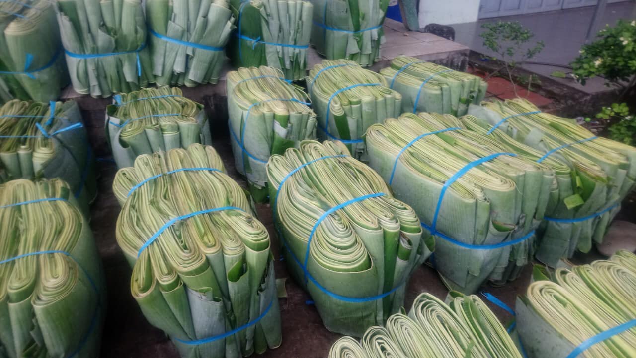 Frozen Banana Leaf For Serving Food from Viet Nam