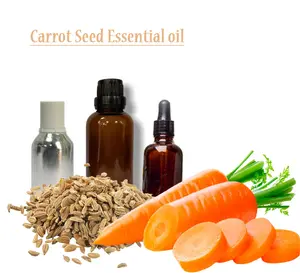 Aceite de semilla de zanahoria certificado ORGÁNICO para limpiar la piel con aire, aceite de semilla de zanahoria para iluminar la piel, proveedores al por mayor en India