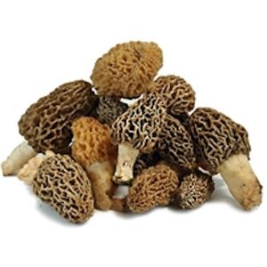 Champignons de morcolles secs, pièces, morshillas sauvages à vendre - Product Image 1