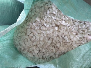 คอลลาเจนเกล็ดปลาจากเวียดนามเกล็ดปลาเกล็ดปลานิลสีดำดิบ + 84815570479 - Product Image 4