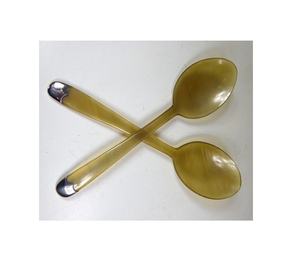 Cuillère en corne de buffle et coquillage de qualité supérieure, forme de manche au design unique, produit en promotion pour cadeau - Product Image 2