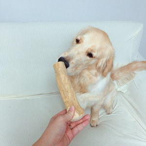 Vente chaude Bois Jouet Café Chien À Mâcher Beau Jouet pour Pet Tom - Product Image 5