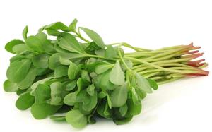 Verdolaga Hecha en Turquía - Product Image 5