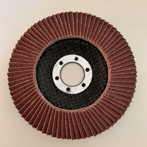 Disques à lamelles en oxyde de zircone, 2 pièces, 125x22mm, 5 ampères, pour le ponçage #40, certifié OSA, fabriqué en turquie - Product Image 3