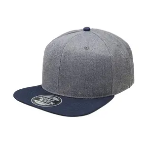 Özel İşlemeli logo boş gri beyzbol Hip hop şapka snapback kap özelleştirmek