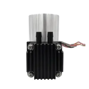 Máy Bơm Chân Không Và Khí Piston 12V 24V Dc 600 ~ 800 Kpa Áp Suất Cao 60lpm 80lpm