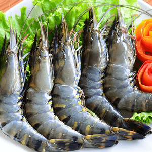 Tasty Cocktail Shrimp In A Large Number Of Varieties Low Moq New Packaging Alibaba Com Tasty Cocktail Shrimp In A Large Number Of Varieties Low Moq New Packaging Alibaba Com