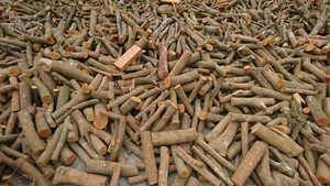 ถ่านอัดแท่งไม้เนื้อแข็ง DRIEST ความชื้นต่ำ สำหรับบาร์บีคิว รุ่น NW.001GF เวลาเผาไหม้ 5-6 ชั่วโมง เส้นผ่านศูนย์กลาง 3-8 ซม. - Product Image 4