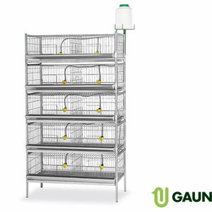 Mostrar jaula 1 piso. Extensión de la jaula - Product Image 2