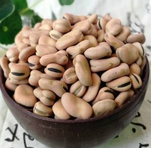 Hot Selling Dried Large Fava <b>Beans</b> in Bulk Quantity - Product Image 2
