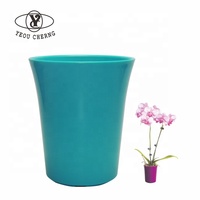 Macetas al por Mayor de Varios Tipos y Colores L172-1 AIERMEI, Macetas para Orquídeas para Jardinería, Decoración del Hogar, Planta Zebra, Baby Toes