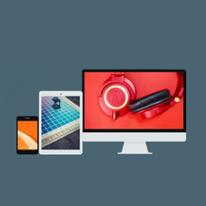 Professional North America Music ECommerce <b>Software</b> Application-Top-notch Webroot Infosoft - Product Image 3