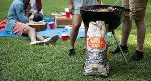 CHARCOAL WITH THE BEST PACKAGING IS HERE !! SUPERMARKET PACKAGING, CAMPING, FOOD TRUCK BBQ CHARCOAL IN Corning NEW YORK - Product Image 4