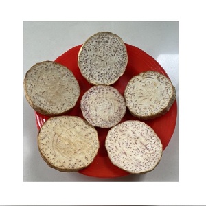Rodajas de Taro Congeladas de Primera Calidad de Vietnam, Certificadas LQF, 500 Gramos, Envasadas al Vacío, Tipo Frito, Enfocado en el Tallo - Product Image 1