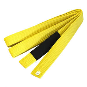 เครื่องแบบ MMA GI สำหรับผู้ชายเข็มขัดคาราเต้สีสำหรับศิลปะการต่อสู้และ BJJ ดีไซน์ที่ดีที่สุด - Product Image 5