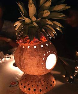 HOT SALE COCONUT SHELL <b>ANIMAL</b> LAMPS COCONUT PENDANT LAMP LIGHTING COCONUT HOME DECOR - Product Image 1