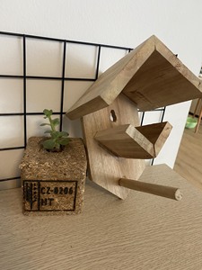 Mangeoire à oiseaux en bois, pin massif, écologique, durable, légère, style simple, utilisation manuelle pour les oiseaux - Product Image 5