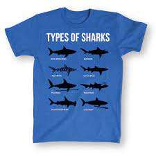 เสื้อยืดคอกลมแขนสั้นผ้าคอตตอนลำลอง/ผ้าโพลีเอสเตอร์คอกลมพิมพ์ลายตามขอบตัดด้วยผ้าคอตตอน100% มีตัวเลือกต่ำ - Product Image 3